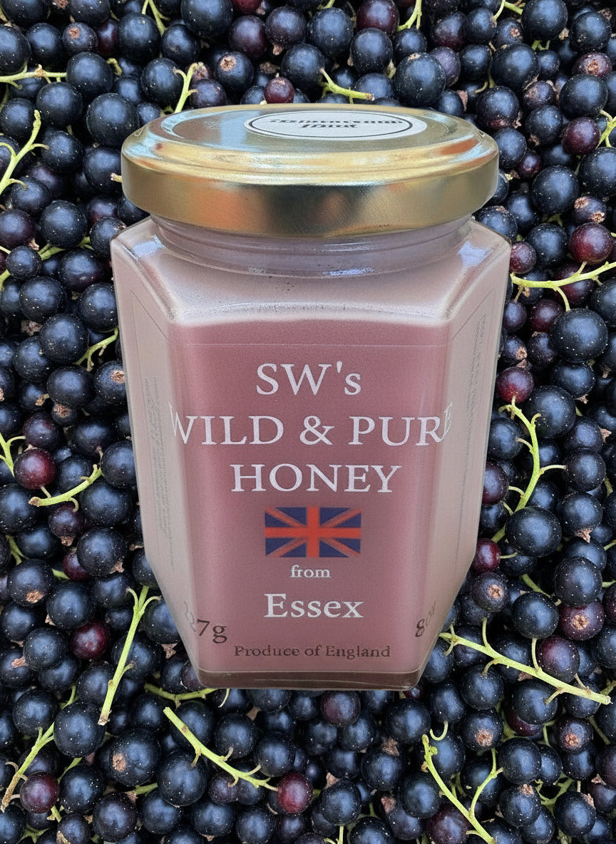 SW's Wild & Pure Honey from Essex - 227g blackcurrant Infused Cold Filtered Unprocessed Natural Product - Perfect for Ice Cream & Fruits